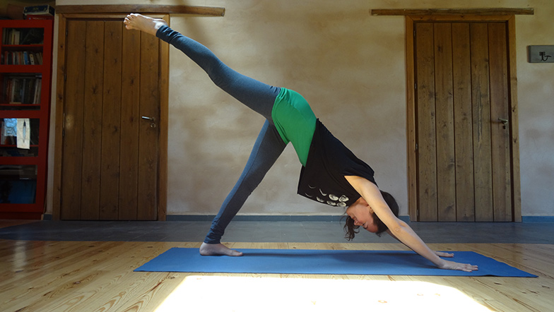 Yoga-Hatha